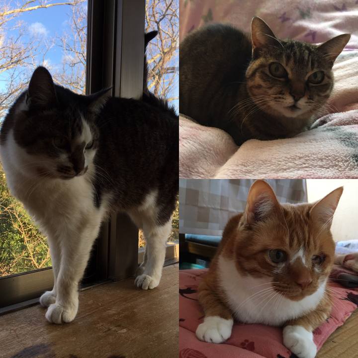 0e59a632 f4da 40a2 9f64 e83c800cade5 1582815383058