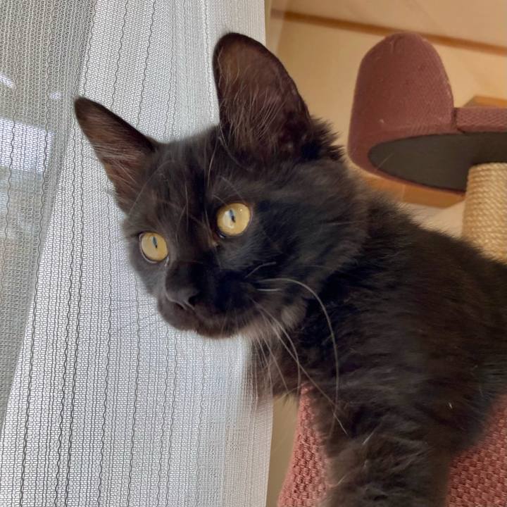 0e59ac90 46de 4dfc a889 eed0e60eb372 1702975507390