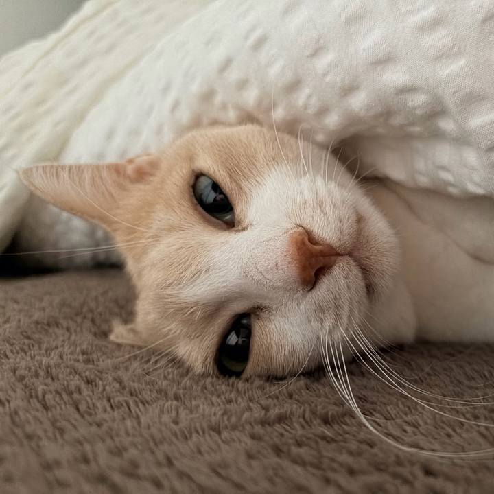 0e59bd1f e105 4508 845f ffab86fd0e74 1772849030792