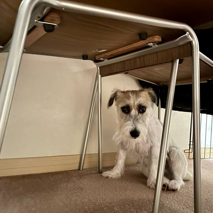 0e59c051 4174 4f62 a08b a2648b284a57 1694610459149