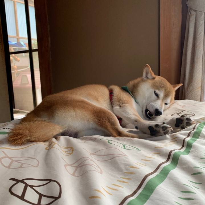 0e59cafb 48a9 4b04 93fa ce67a6895162 1599906315146