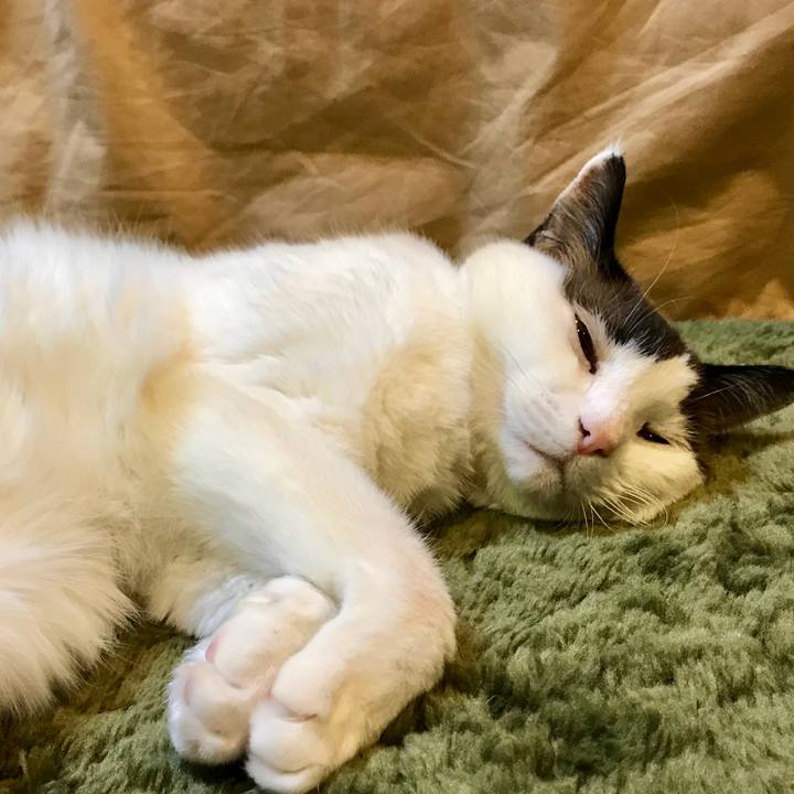 0e5a0963 8ea7 4f01 aba8 e970b45d6aa0 1517575879468