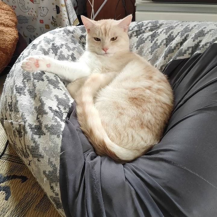 0e5a3923 c6fb 4d1f a037 f5f8acfd8948 1657765647017