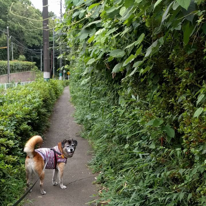 0e5a758c d0fc 48e2 b305 3320e018fe5b 1532561967204