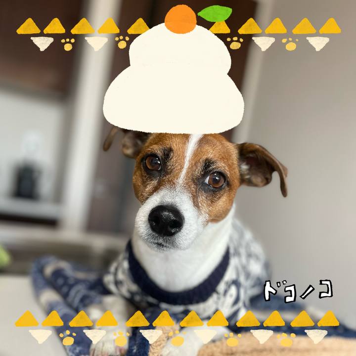 0e5a7625 e358 4dff a000 cc8a458aa487 1704505619297