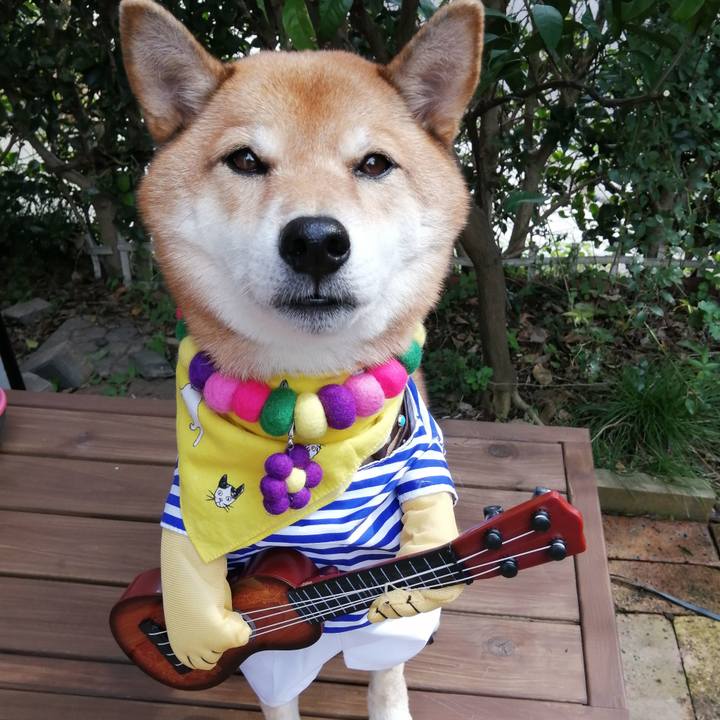 0e5ab653 7cc1 4b34 8090 f2d9a37a71f5 1603158331900