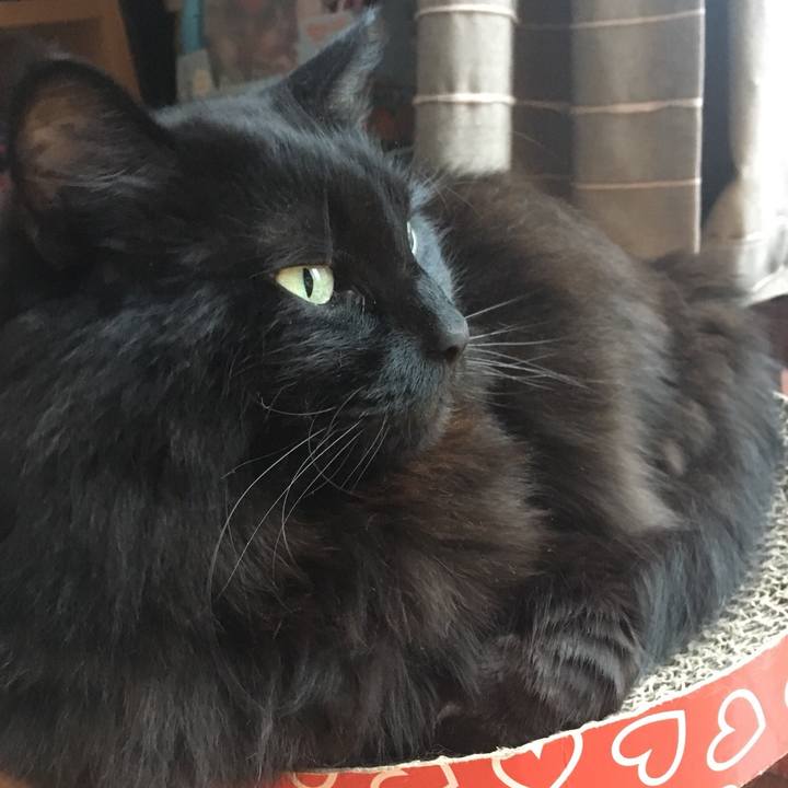 0e5ac267 13b5 48c3 967c 1fd1a09f1186 1556778892886