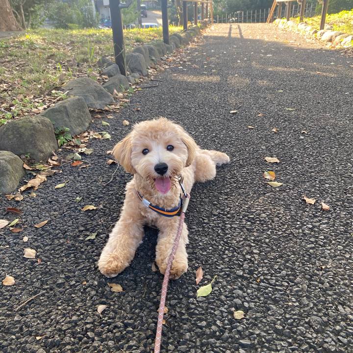 0e5acedb d92c 4379 b568 703ad63603ae 1757307064031