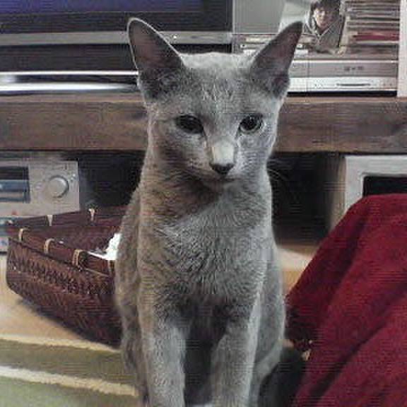 0e5b0453 5cec 416a b820 2efbad5dec87 1535291015034