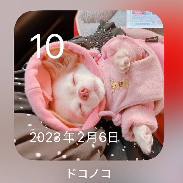 0e5b21b0 f9f8 4f86 8ea4 7fc8a24657b8 1707571173379