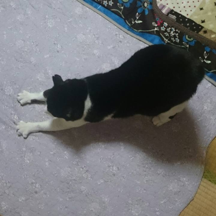 0e5b39a2 ebb3 4fc3 b318 32c9558676f9 1512688270781