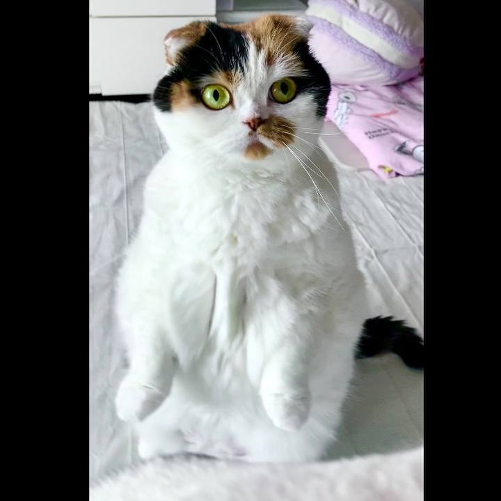 0e5b3e2c cc1a 48d4 8eba dbaddf528dac 1572923267842