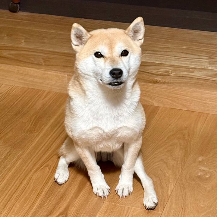 0e5b54f6 cb29 421e 9cb5 a627e9e6ca78 1769564689257