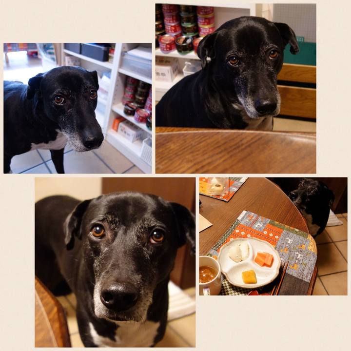 0e5b6220 93f9 469b 8cbe 686d70e3e5fb 1737853750742