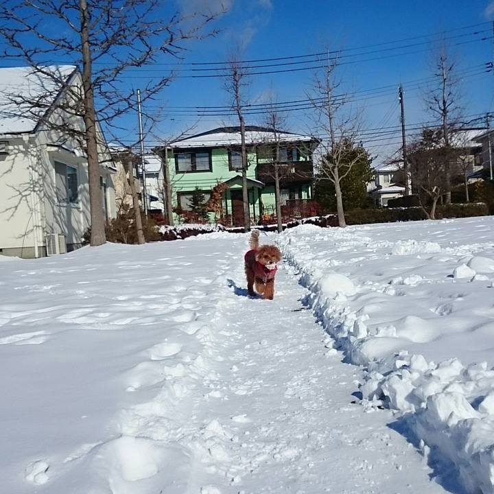 0e5b6bdf 7502 4ec1 895f c028c8151102 1516931269869