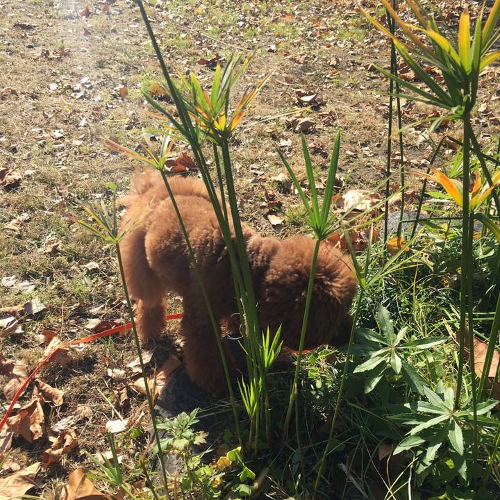 0e5c0141 f067 45e3 a474 2ca8f2c1f3f2 1512430795040