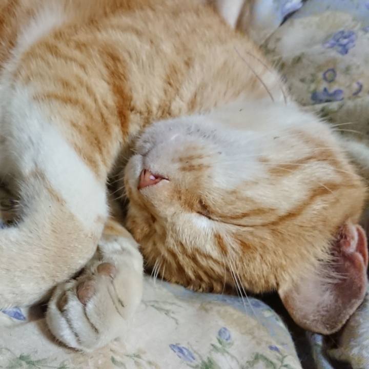 0e5c0eba 2027 467a 9b8f 551dbb4daa08 1590840034913