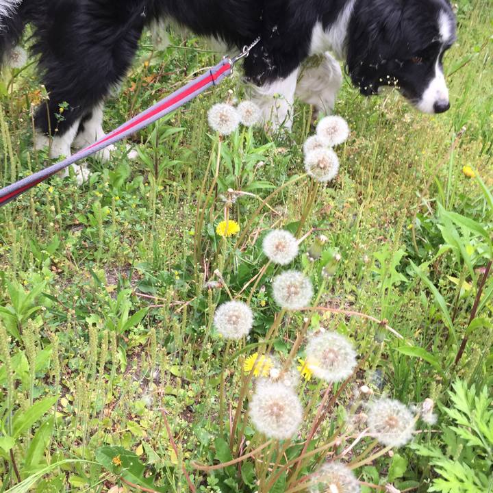 0e5c9343 2a0b 4fc7 a231 7d1e0ae67988 1555980135298