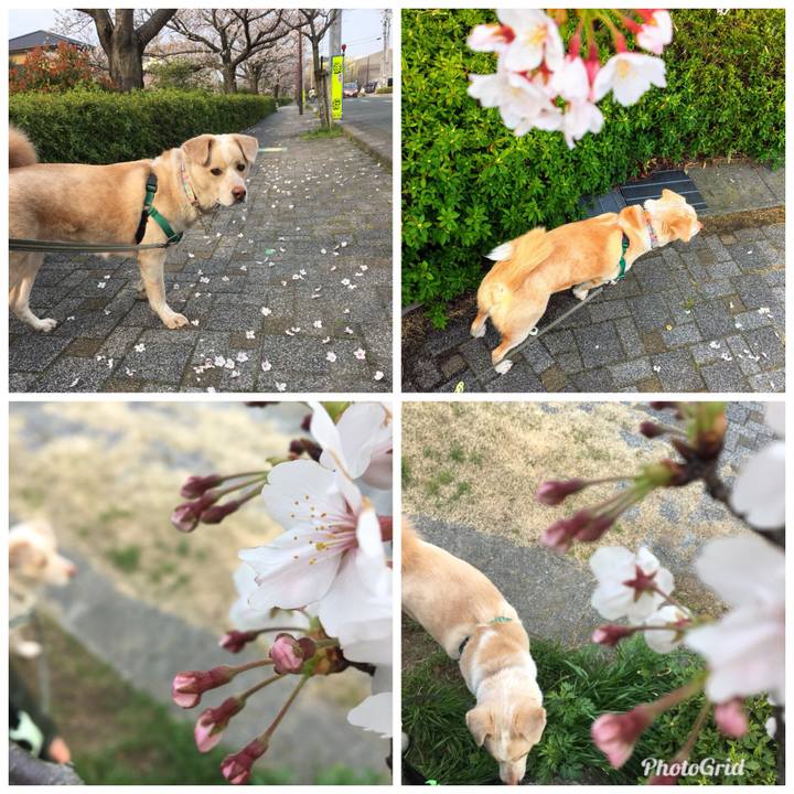 0e5ca5e0 0b03 4a17 9d86 011ca36d0897 1522044520353