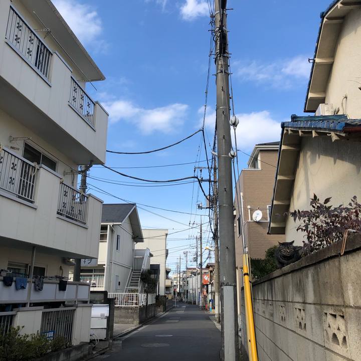 0e5cc91e dbce 423d 90e1 ec3864f05cdb 1614438324043