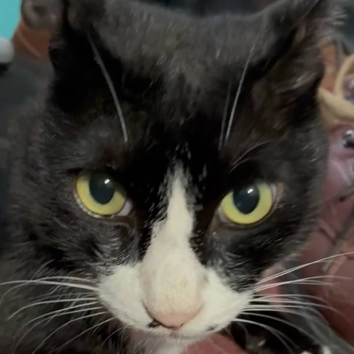 0e5ce26e 6f1d 4a55 ad92 d7909c929ab4 1754447616155