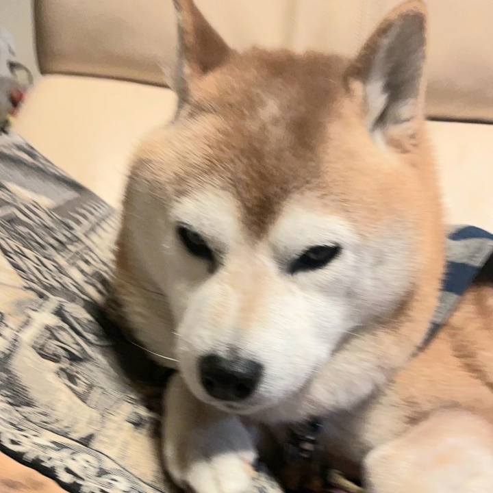 0e5cf1b7 c3ee 403d a6da 6a33dc8033f1 1672226904683