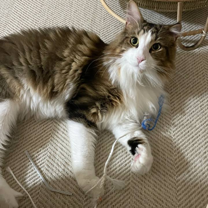 0e5d323c 12c1 472d b2b3 e3799d36bf48 1668367697877