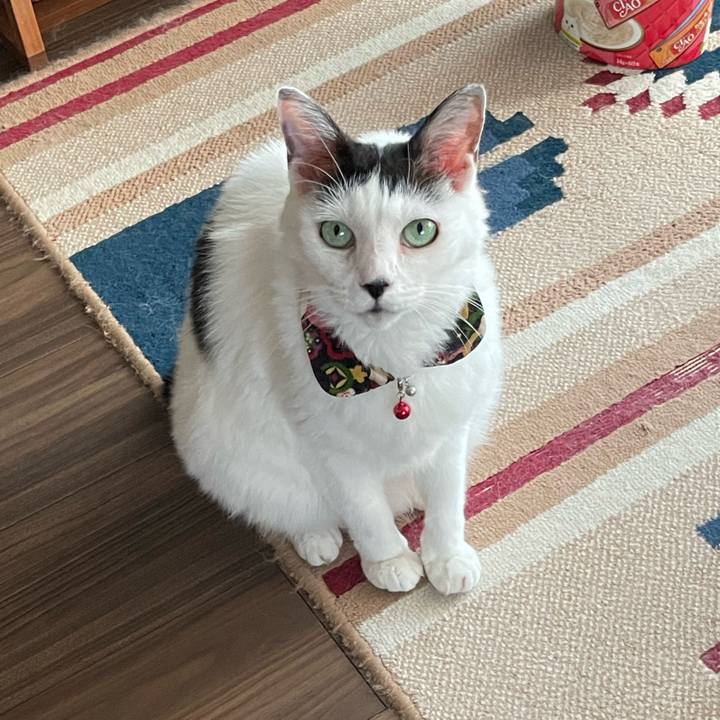 0e5d77c5 0edc 4144 8bcb 81286ab0195d 1661590358699