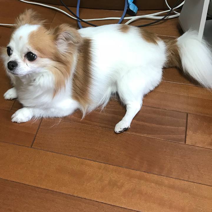 0e5dc459 6634 44ae 8214 9b5d11998bd5 1566219526900