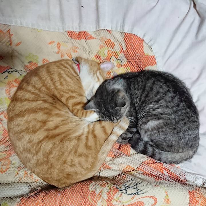 0e5dc512 7e88 4b27 9d13 47f139f1d85b 1573649825495