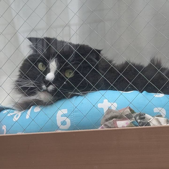 0e5e16e8 0f66 4fd4 be72 465f7c18c467 1743914195210