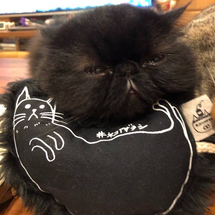 0e5e33e8 889f 464d 9936 b073fc62fe19 1762376918544