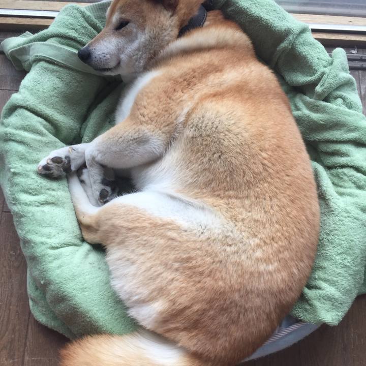 0e5e4b05 6cb7 4bb5 967f 586fad6ea85d 1516160139583