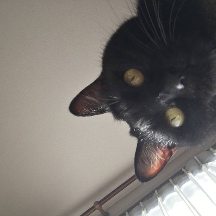 0e5e4ef3 caf8 4039 8f3d 01cf41d5d7eb 1512820252699