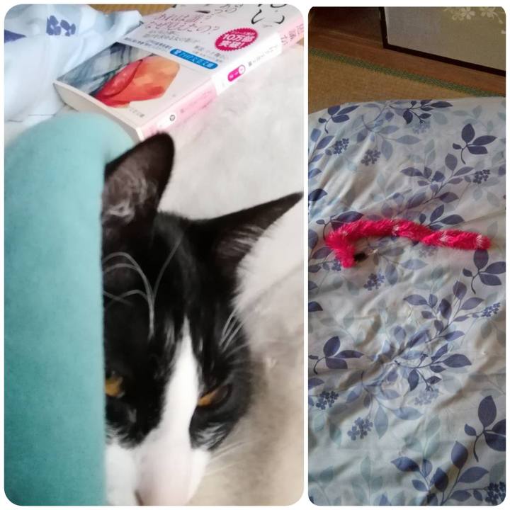 0e5e65d0 0734 4705 9173 9038efab2128 1553501867548