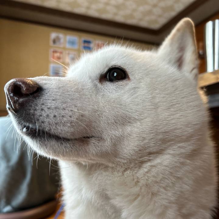 0e5eae40 d333 4889 91d7 30db227cc4e6 1741993411156