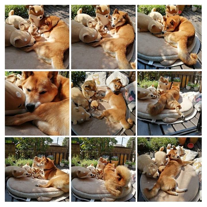 0e5ec99c 8731 40b6 86e7 f310506a33e6 1586310009188