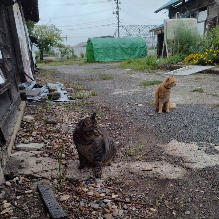 0e5ef3d7 0d97 43a0 a895 f2730778a758 1692403741025