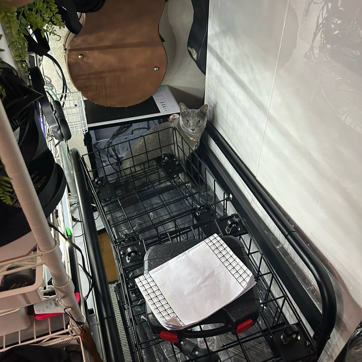 0e5ef790 7efb 49f9 9511 2a7c3ab72fd8 1732857597763