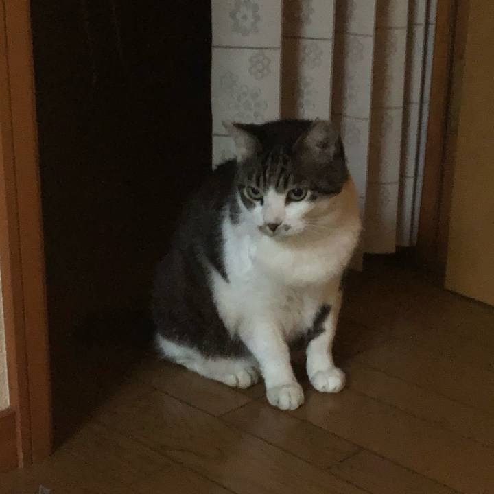 0e5efed6 d712 4668 b920 d3e464b35a9a 1594812371327