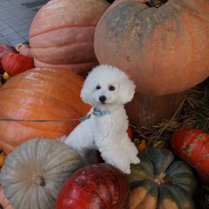 0e5f1bb2 bc7a 4ecb 800e 568ac1d11d39 1539337648111