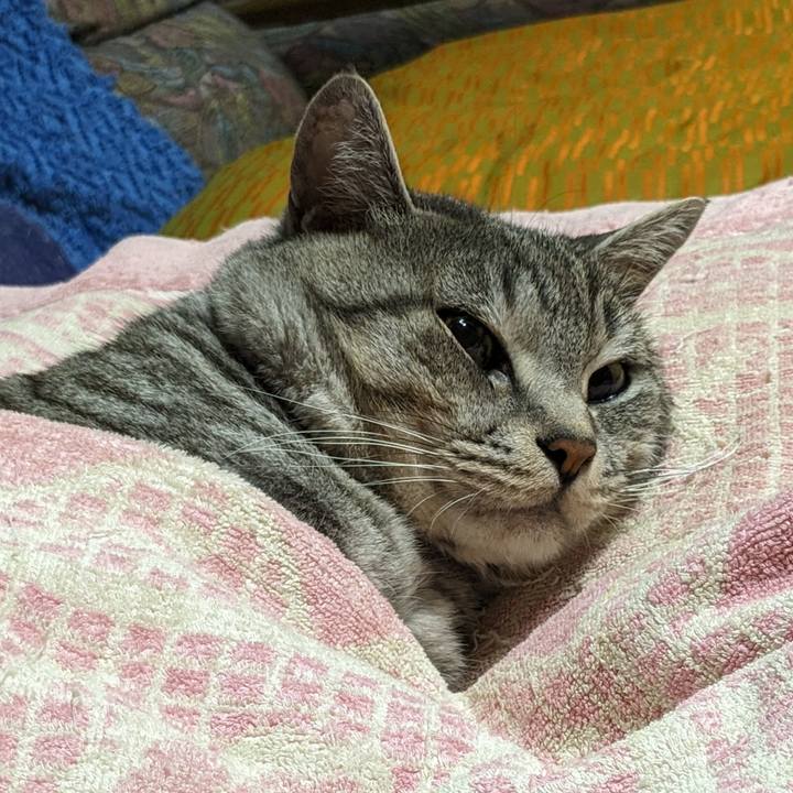 0e5f1f64 6480 489d a473 1268d7030103 1698077674437