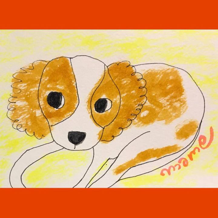 0e5f629f 9b3b 4549 b26e f07dadebeec7 1568898812659