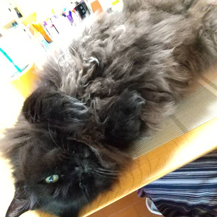 0e5f6c2f ffff 49e1 b833 31d2bd571d3e 1661070623623