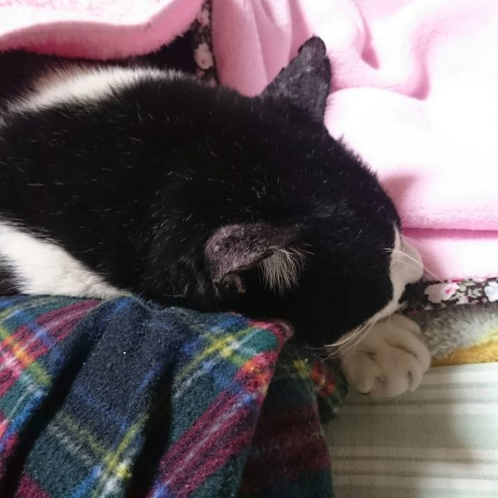 0e5f6da4 28ef 4170 a8d7 674dcd4cd9bc 1510408879213