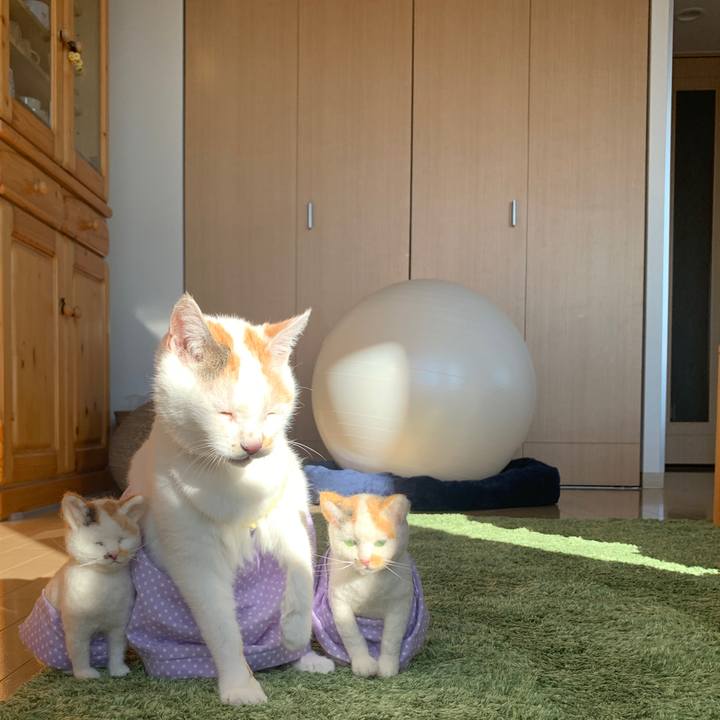 0e5f7c75 fcd6 46ee 972d 0597dfc63432 1581054835283