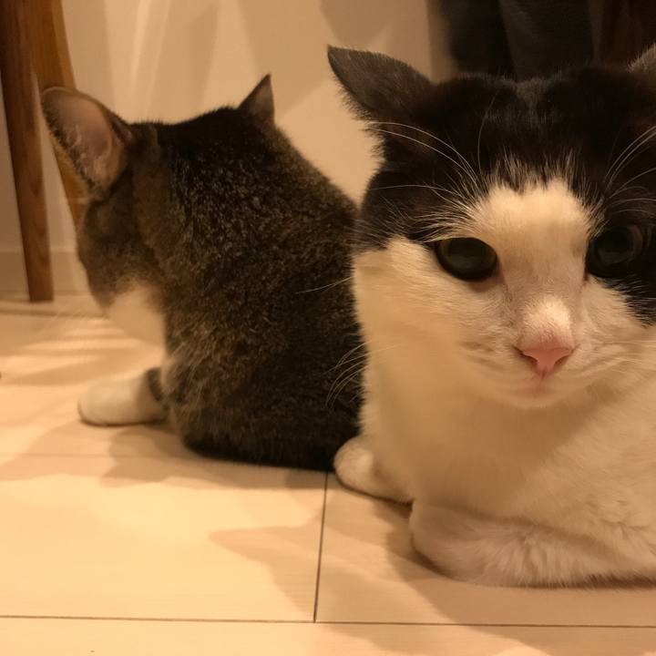 0e5fc82b d50b 46db 80ac 5b61a667dada 1512311326930