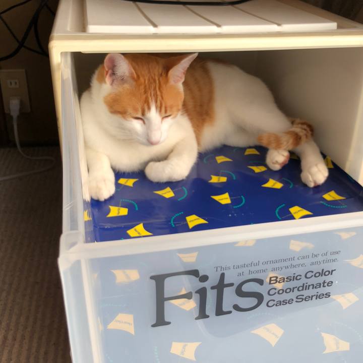 0e5fd4e3 ae9a 47dc b592 775b58e54ee7 1541054730756