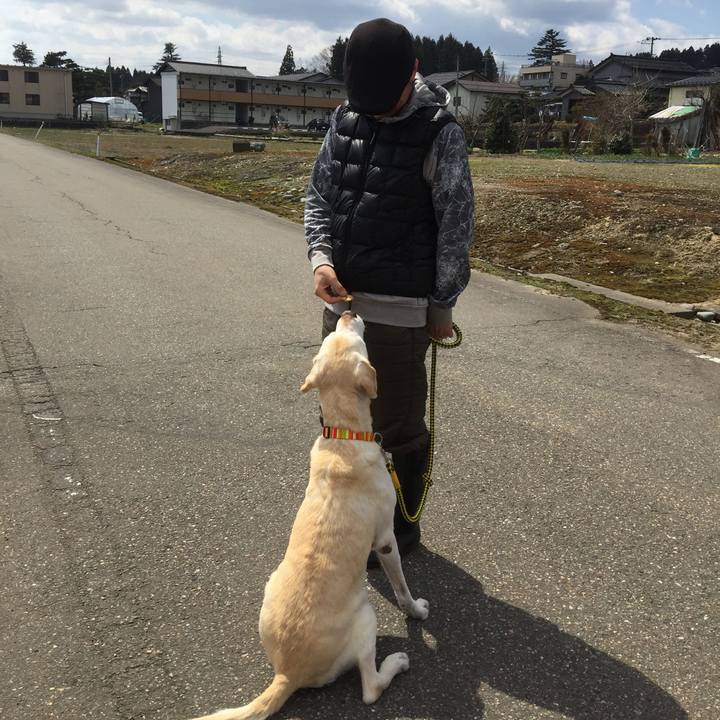 0e5fd92e 1ecf 4a45 9a2e 0c86077b574c 1614432220925