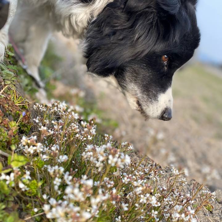 0e601930 6f44 49ba 8e5c e3d3bc52aa1d 1646956931156